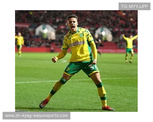 英超球队诺维奇市值及经营现状