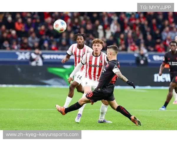 各德甲足球队官方资料汇编