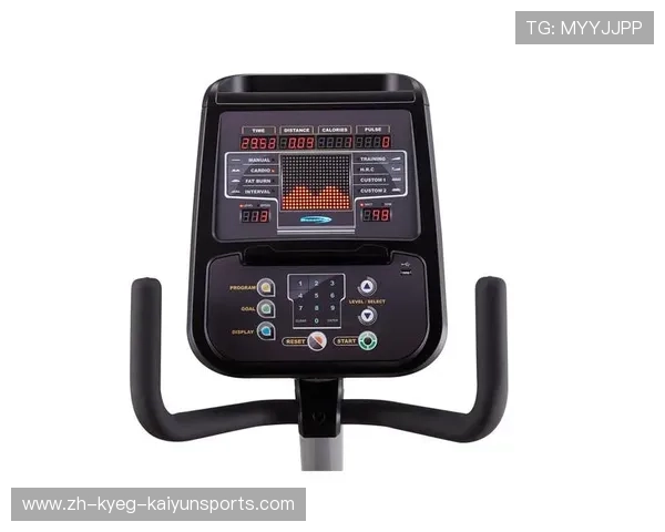 高效燃脂组合：智能健身器材+科学营养指导书单